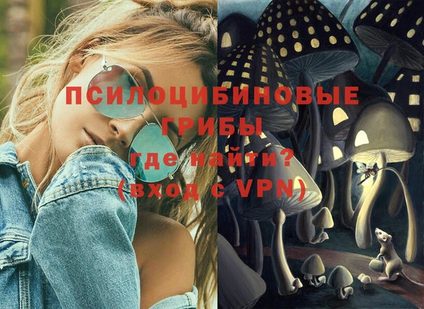гидропоника Каменногорск