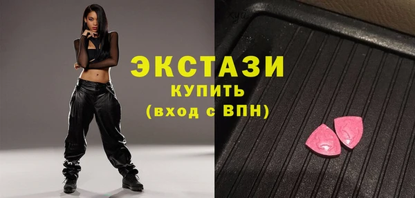 МДПВ Каменка