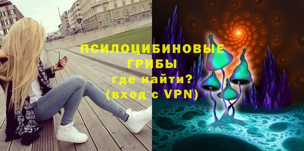 МДПВ Каменка