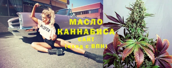 гашик Инта