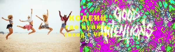 МДПВ Каменка